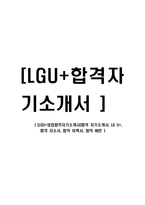 [LGU+영업합격자기소개서]합격 자기소개서, LG U+, 합격 자소서, 합격 이력서, 합격 예문-1