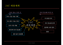 [국문학] 국어의 정보화 응용과 전망 고찰-13