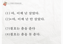 [국문학] 부정문의 이해-8