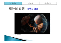 [부모교육] 아동의 신체발달 및 성교육과 피임지식을 위한 부모교육-6