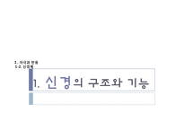 [교육학] 중학교 3학년 생물교육 수업 지도안-신경의 구조와 기능-1