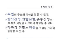 [교육학] 중학교 3학년 생물교육 수업 지도안-신경의 구조와 기능-4