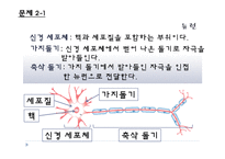 [교육학] 중학교 3학년 생물교육 수업 지도안-신경의 구조와 기능-7
