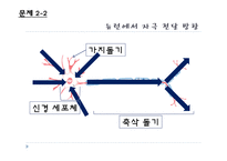 [교육학] 중학교 3학년 생물교육 수업 지도안-신경의 구조와 기능-8