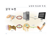 [교육학] 중학교 3학년 생물교육 수업 지도안-신경의 구조와 기능-11
