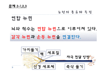 [교육학] 중학교 3학년 생물교육 수업 지도안-신경의 구조와 기능-12
