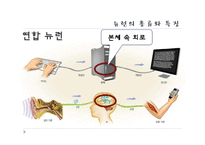[교육학] 중학교 3학년 생물교육 수업 지도안-신경의 구조와 기능-13
