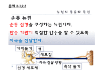 [교육학] 중학교 3학년 생물교육 수업 지도안-신경의 구조와 기능-14