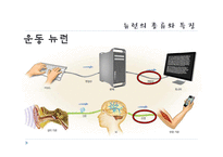 [교육학] 중학교 3학년 생물교육 수업 지도안-신경의 구조와 기능-15