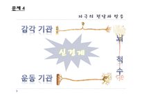 [교육학] 중학교 3학년 생물교육 수업 지도안-신경의 구조와 기능-20
