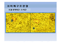 [공학] 소결 유지시간에 따른 구리의 변화-11