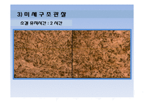 [공학] 소결 유지시간에 따른 구리의 변화-12