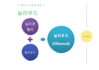 영화와 비디오, 음반 산업의 역사와 현황-12