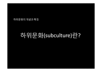 [언론학] 하위 문화와 미디어의 관계-3