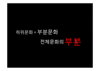[언론학] 하위 문화와 미디어의 관계-5