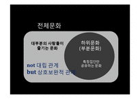[언론학] 하위 문화와 미디어의 관계-6