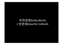 [언론학] 하위 문화와 미디어의 관계-7