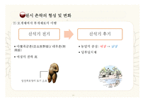 [중국사] 중국 신석기 시대의 사회상 연구-14