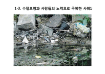 환경오염에 대한 고찰-수질오염 중심으로-13