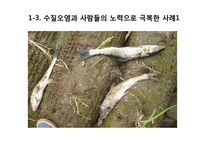 환경오염에 대한 고찰-수질오염 중심으로-15