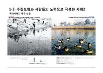 환경오염에 대한 고찰-수질오염 중심으로-19