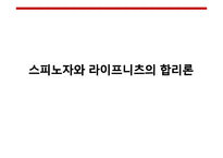 [서양철학] 스피노자와 라이프니츠의 합리론-1