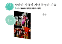 가면극 탈춤과 경극 비교 및 대중화 방안 연구-17