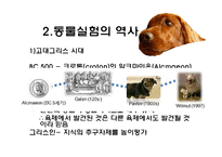 [생명윤리] 동물실험에 대한 찬반 논란-7