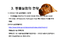 [생명윤리] 동물실험에 대한 찬반 논란-11