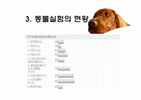 [생명윤리] 동물실험에 대한 찬반 논란-12