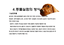 [생명윤리] 동물실험에 대한 찬반 논란-13