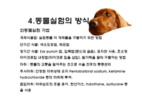 [생명윤리] 동물실험에 대한 찬반 논란-14