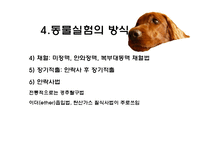 [생명윤리] 동물실험에 대한 찬반 논란-16