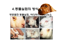[생명윤리] 동물실험에 대한 찬반 논란-17