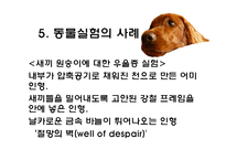 [생명윤리] 동물실험에 대한 찬반 논란-18