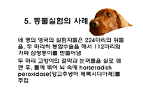 [생명윤리] 동물실험에 대한 찬반 논란-19