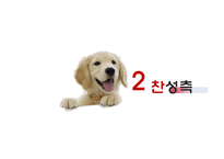 [생명윤리] 동물실험에 대한 찬반 논란-20