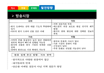 멕시코의 한류 열풍 조사-19