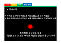 멕시코의 한류 열풍 조사-20