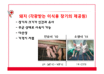 [의료윤리] 이종간 장기이식 문제점 고찰-5