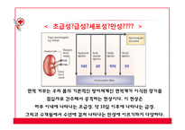 [의료윤리] 이종간 장기이식 문제점 고찰-6