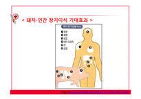 [의료윤리] 이종간 장기이식 문제점 고찰-7