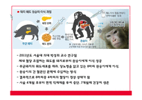 [의료윤리] 이종간 장기이식 문제점 고찰-11