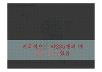SSM규제와 GS슈퍼마켓의 대처 방안-4