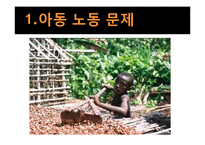 [사회학] 국제사회의 노동문제와 해결방안-13