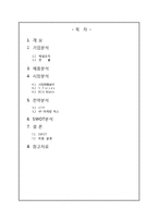 [마케팅] 빈폴의 1위 유지 전략-2