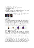 [경영학] 박카스와 레드불 마케팅 전략 분석-2