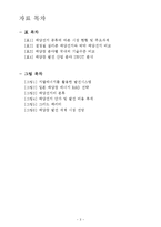 [기술경영] 신재생 에너지 태양광 발전 기술 전략-3