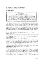 [조직론]구글의 인력 관리와 조직 문화-6