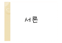 가계 부채 현황과 해결방안-3